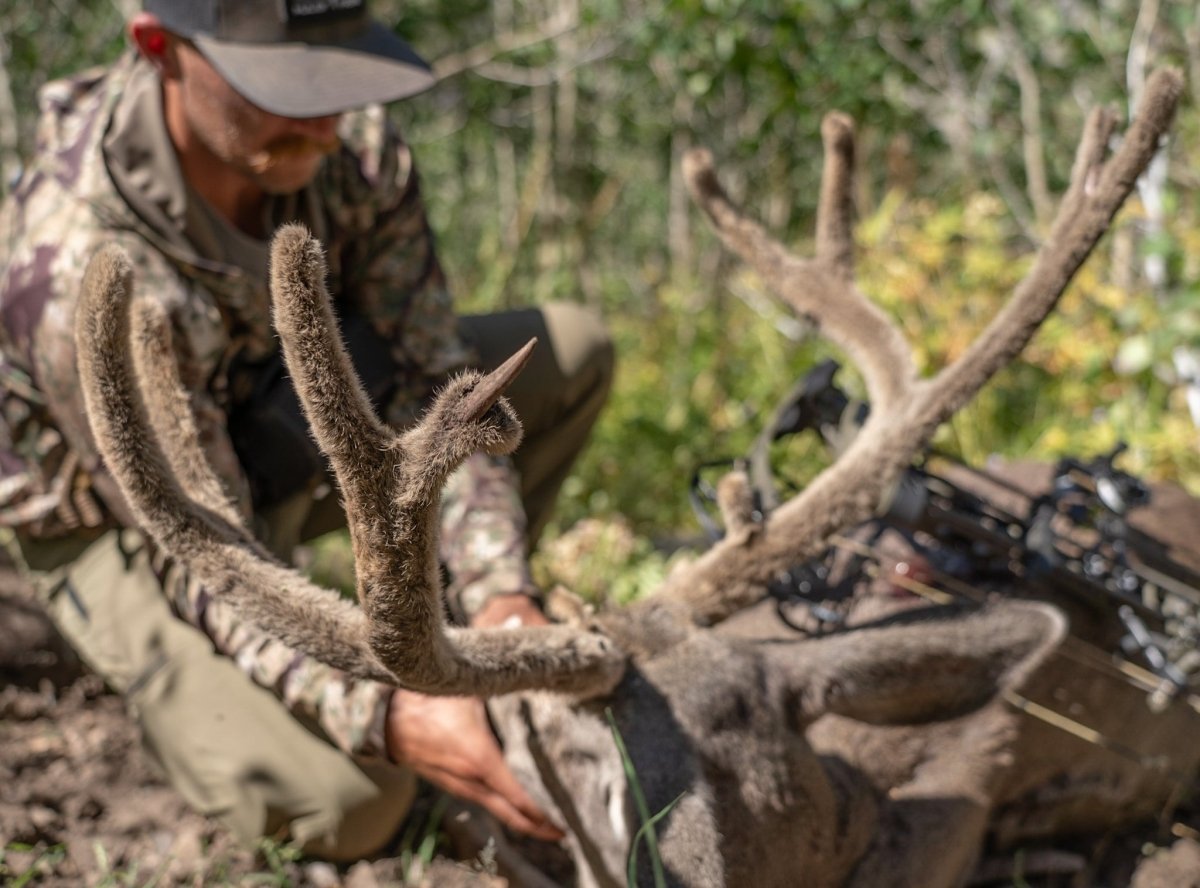 Early season elk hunting gear list best sale