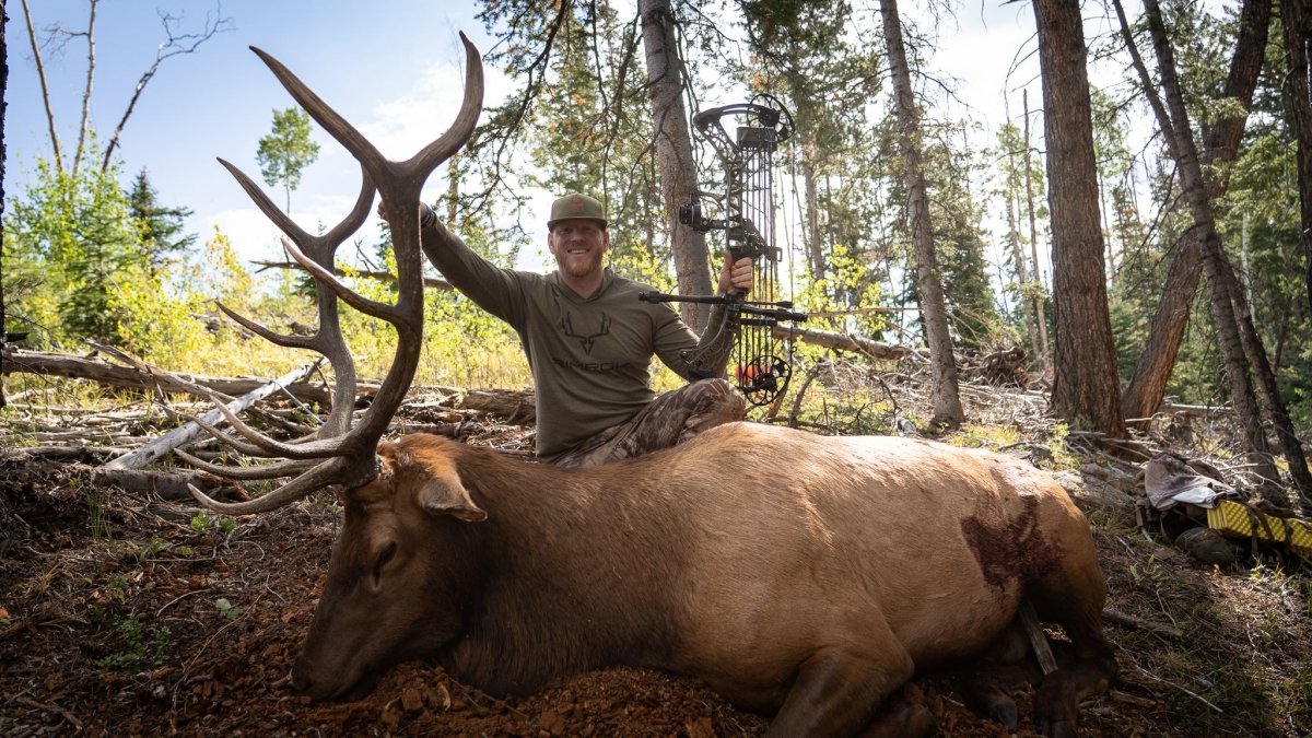 5 Archery Elk Hunting Tips + In-Depth Gear Dump - Muley Freak
