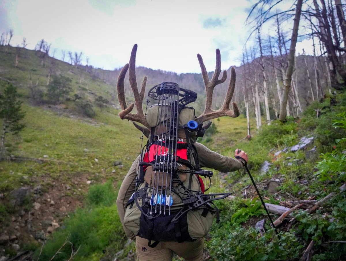 4 Reasons to Use Trekking Poles For Hunting - Muley Freak