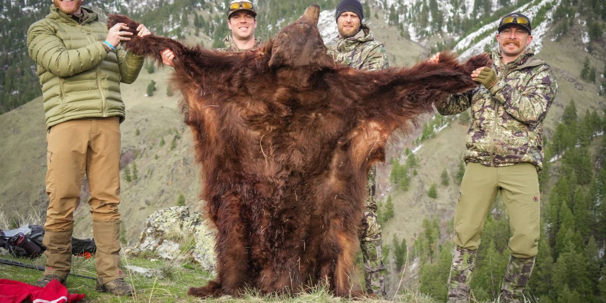 11 Spring Bear Hunting Tips - Muley Freak