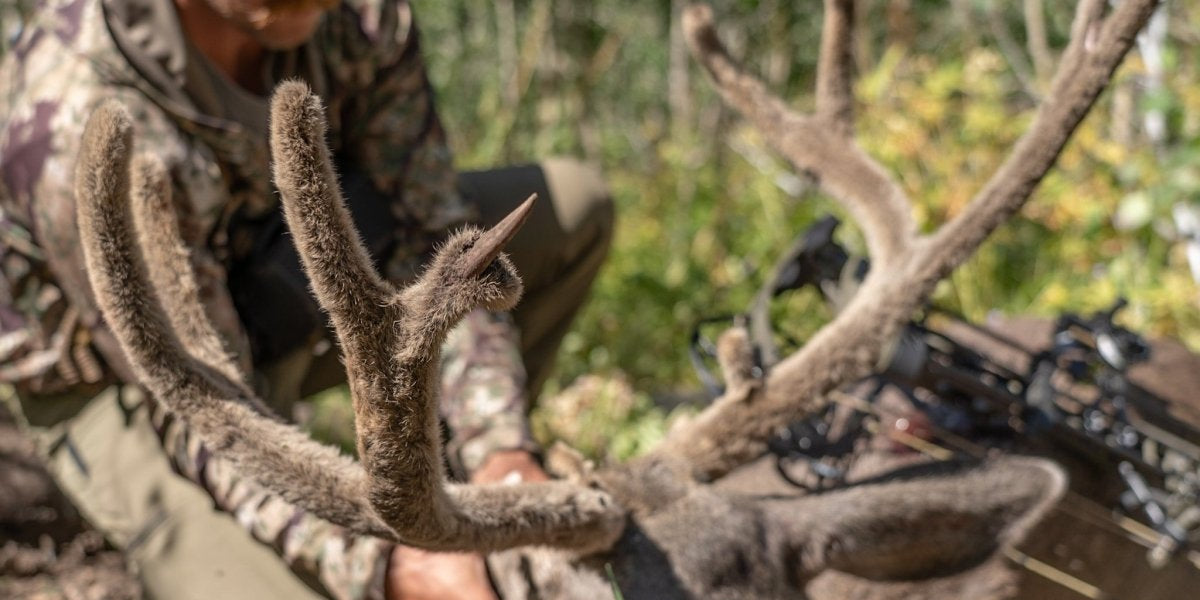 3 High Country Archery Mule Deer Hunting Tips + Gear List for 2024 - Muley Freak