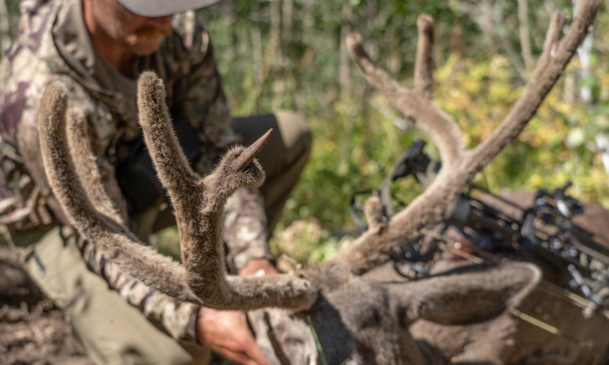 3 High Country Archery Mule Deer Hunting Tips + Gear List for 2024 - Muley Freak