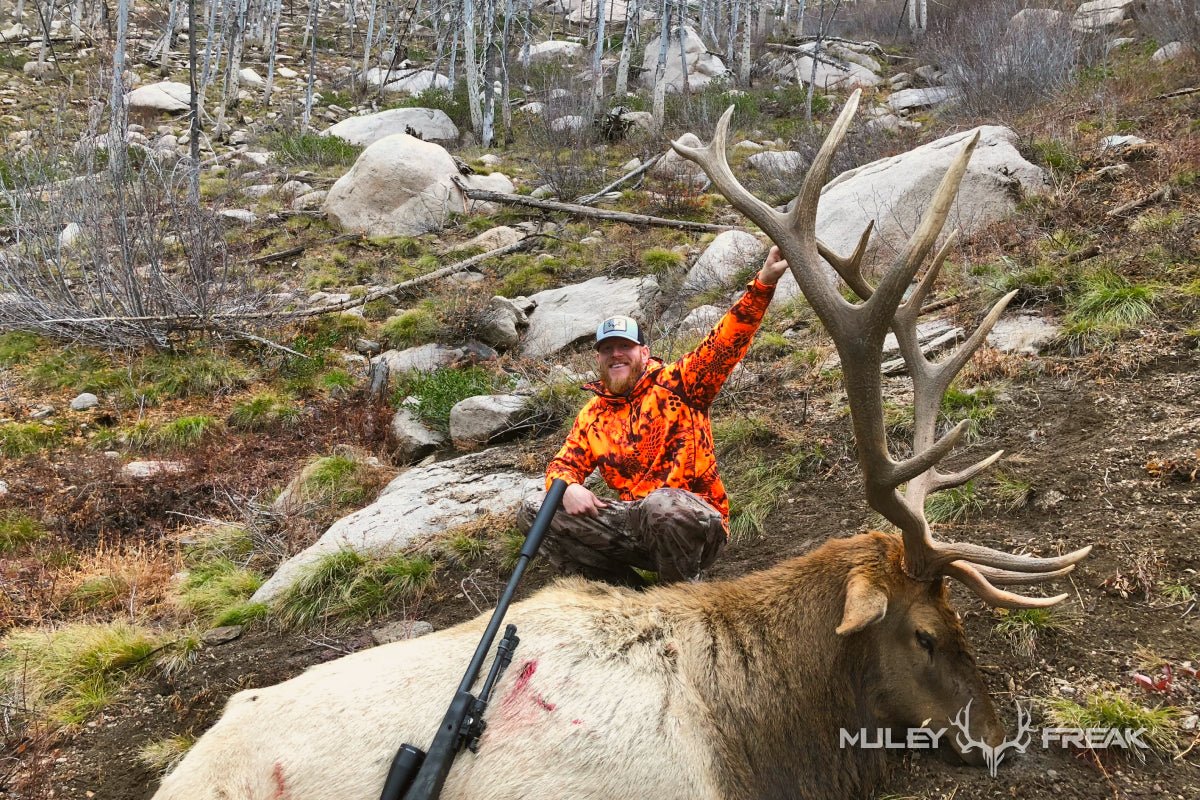 6.5 PRC For Elk Hunting – Is It Capable? - Muley Freak