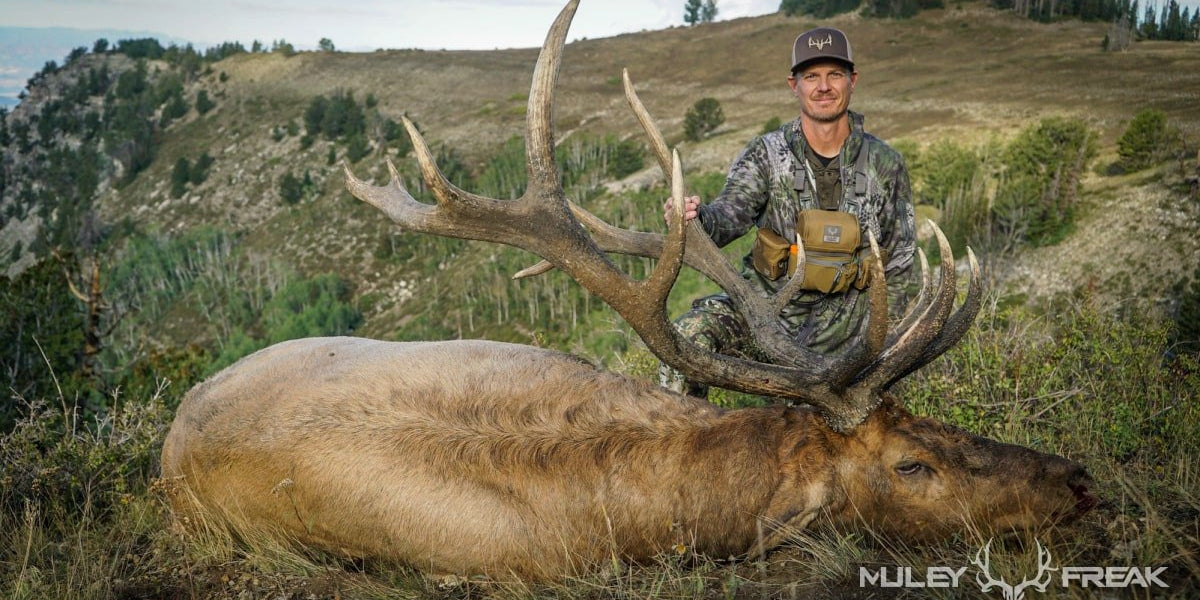 A Hunt Two Decades In the Making - Muley Freak