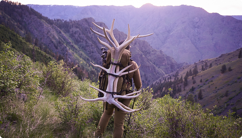 Loaded Muley Freak Cheat Code hunting backpack carrying shed antlers in rugged mountain country.