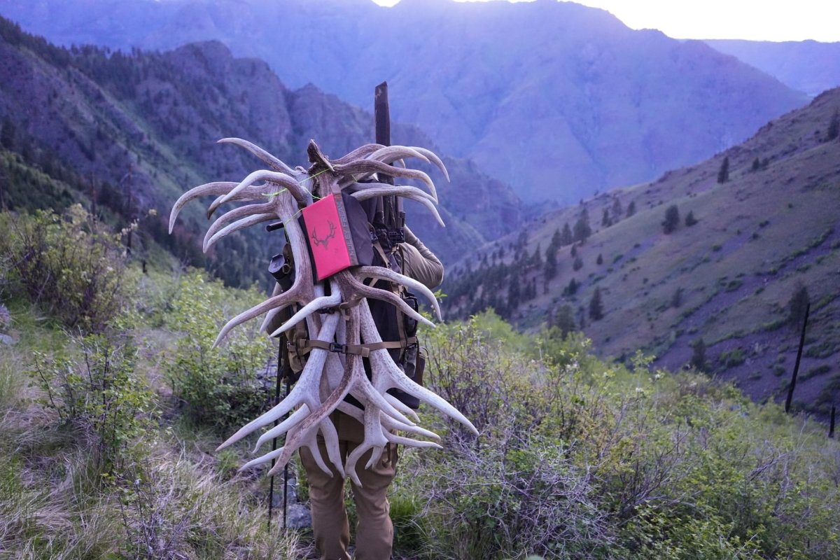 Cheat Code Backpack - Muley Freak
