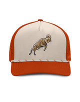 Casquette Buck Marsh