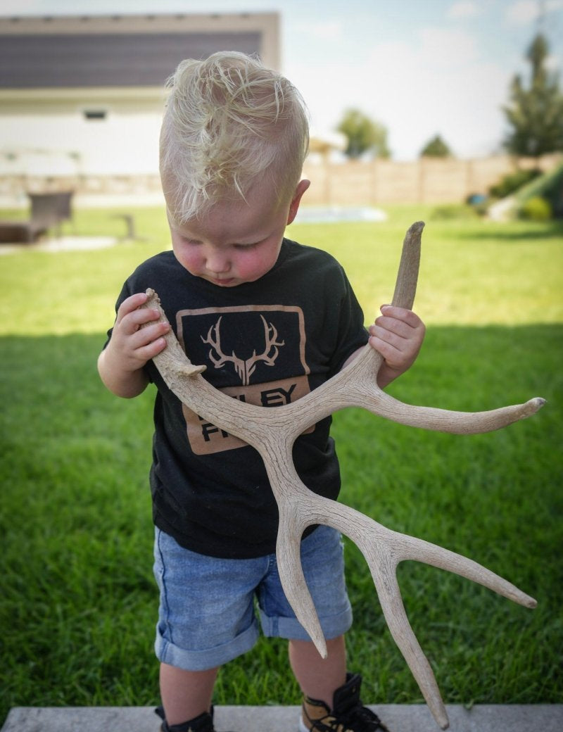 Toddler Logo Box Tee - Muley Freak