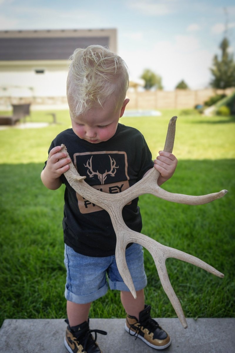 Toddler Logo Box Tee - Muley Freak